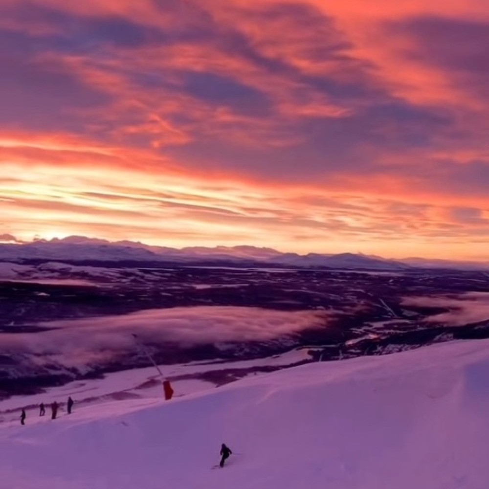 Meet your Posher, Susanna